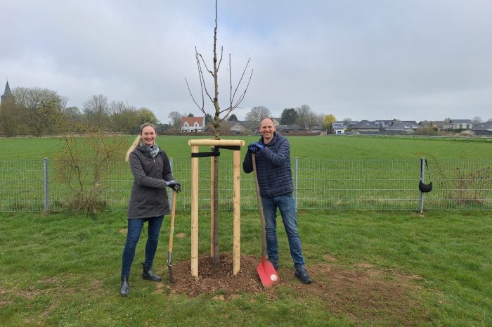 Baumpflanzaktion 2026